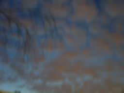 PICT0607.JPG