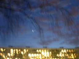 PICT0608.JPG